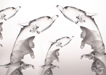 Delfinas ant bangos stiklo gaminiai