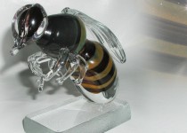 Bee I stiklo gaminiai